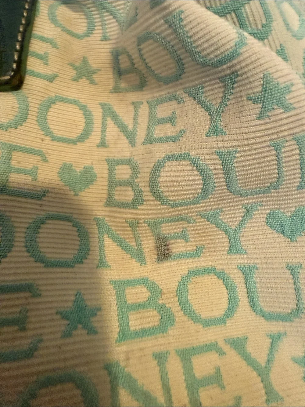 Y2K Dooney & Bourke Cream and Mint Canvas Logo Satchel